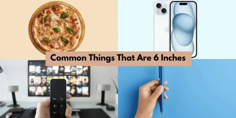 Common Things That Are 6 Inches