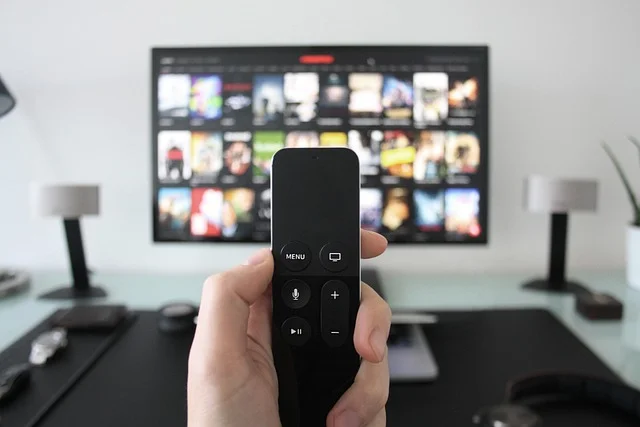 Common Things That Are 6 Inches - T.V Remote Control