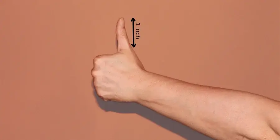 Common Things That Are 1 Inch Long-An Adult Thumb