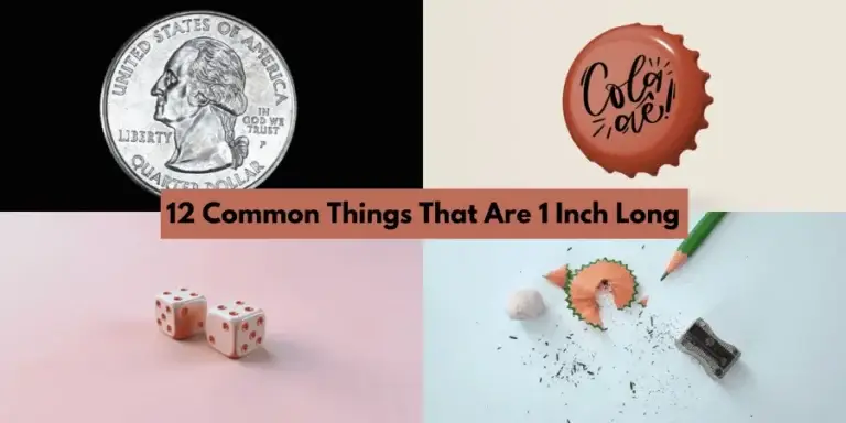 12 Common Things That Are 1 Inch Long