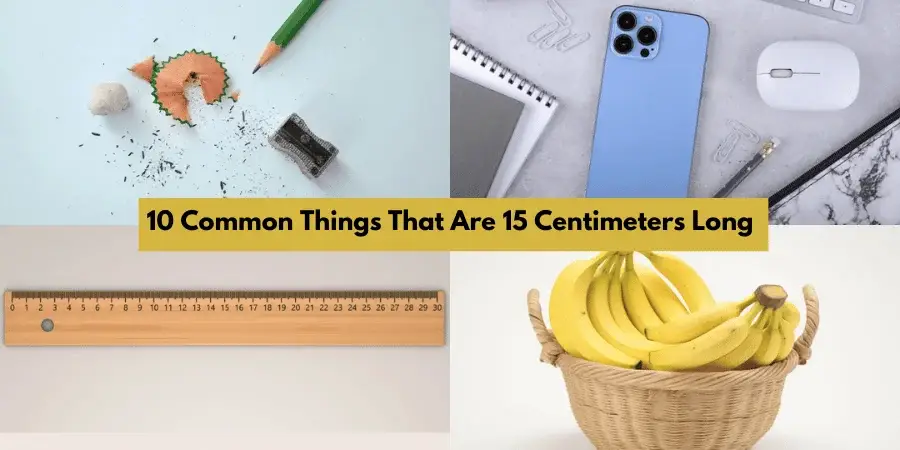 10 Common Things That Are 15 Centimeters Long