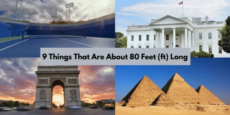 9 Things That Are About 80 Feet (ft) Long