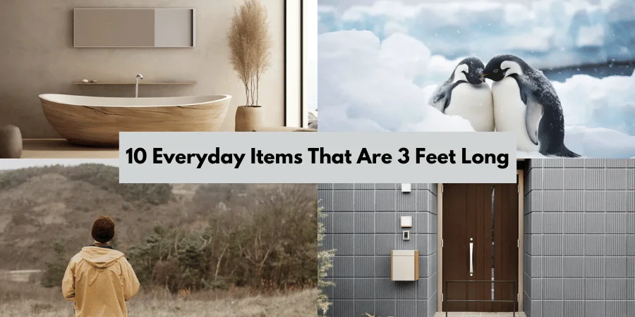 10 Everyday Items That Are 3 Feet Long