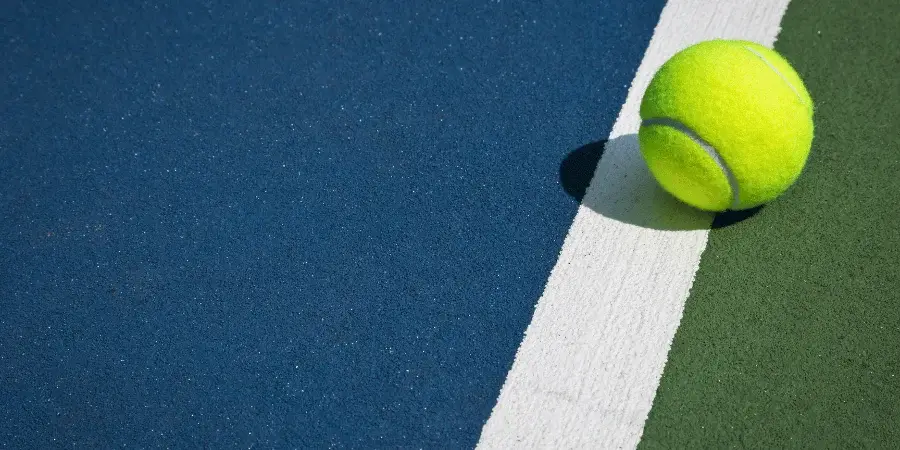 10 Everyday Items That Are About 5 Inches Long-2 Tennis Balls