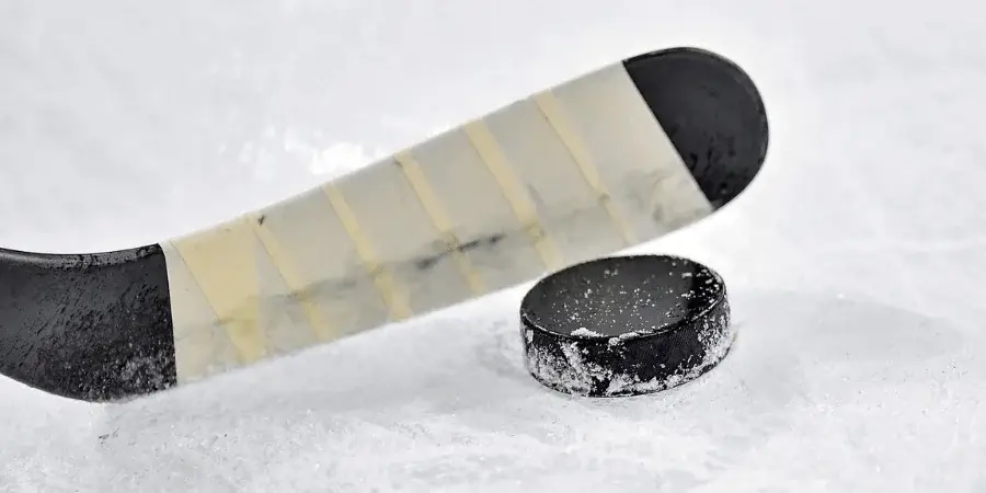 Common Things That Are 1 Inch Long-Hockey Puck